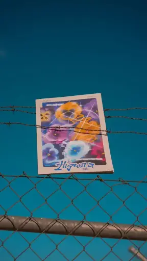 Revista La higuera N1 - Los inicios